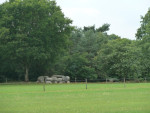 Steenbergen