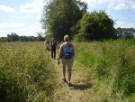 Billie Turf route